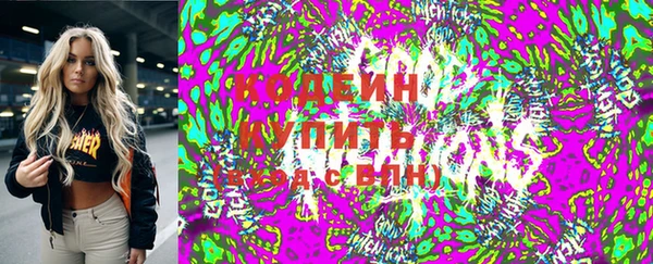 молекула духа Осташков