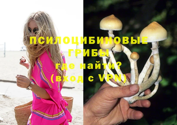 молекула духа Осташков