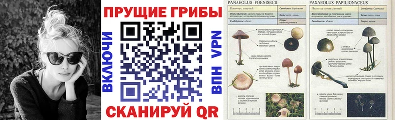 Галлюциногенные грибы ЛСД  Лиски 